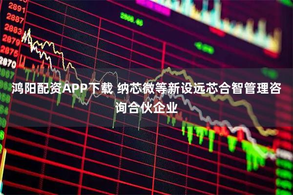 鸿阳配资APP下载 纳芯微等新设远芯合智管理咨询合伙企业